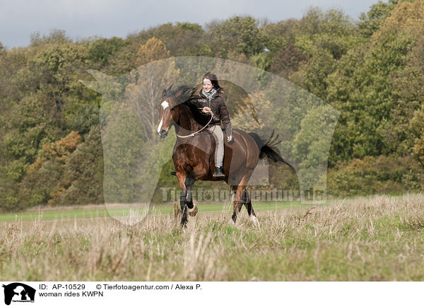 woman rides KWPN / AP-10529