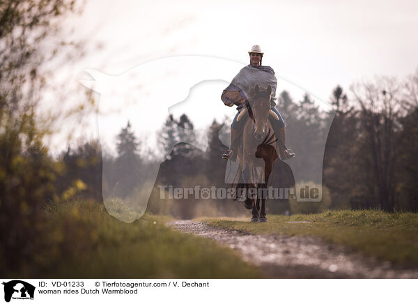 Frau reitet KWPN / woman rides Dutch Warmblood / VD-01233