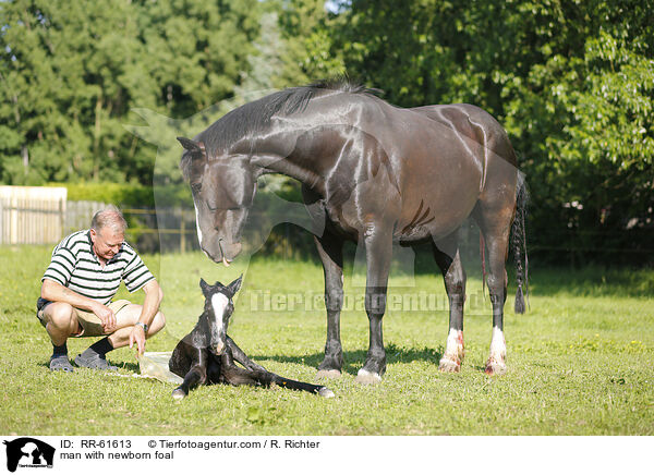 man with newborn foal / RR-61613