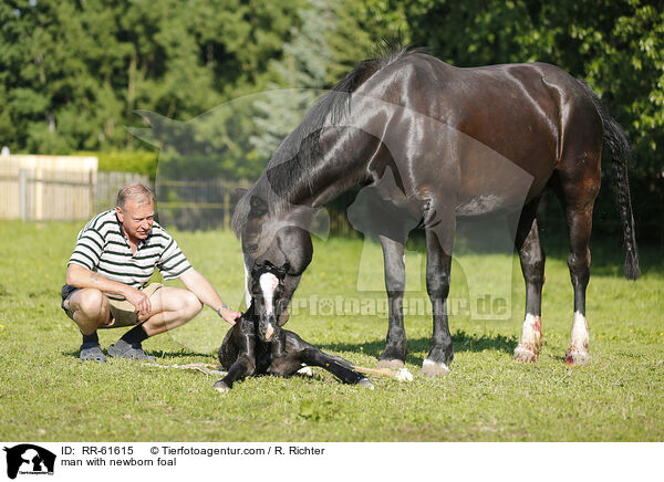 man with newborn foal / RR-61615