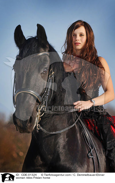 woman rides Frisian horse / CDE-01324