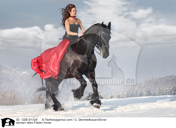 woman rides Frisian horse / CDE-01326