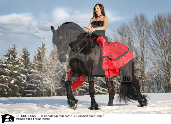 woman rides Frisian horse / CDE-01327