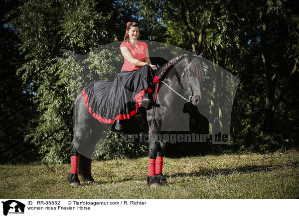 woman rides Friesian Horse / RR-85852