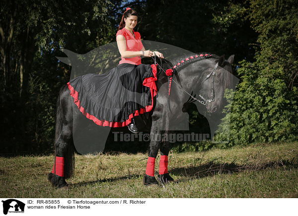 woman rides Friesian Horse / RR-85855