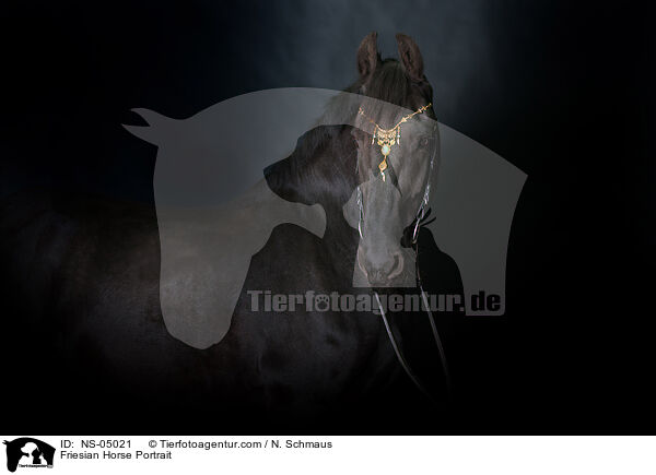 Friese Portrait / Friesian Horse Portrait / NS-05021