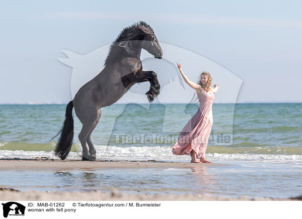 Frau mit Fellpony / woman with fell pony / MAB-01262