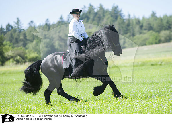 woman rides Friesian horse / NS-06543