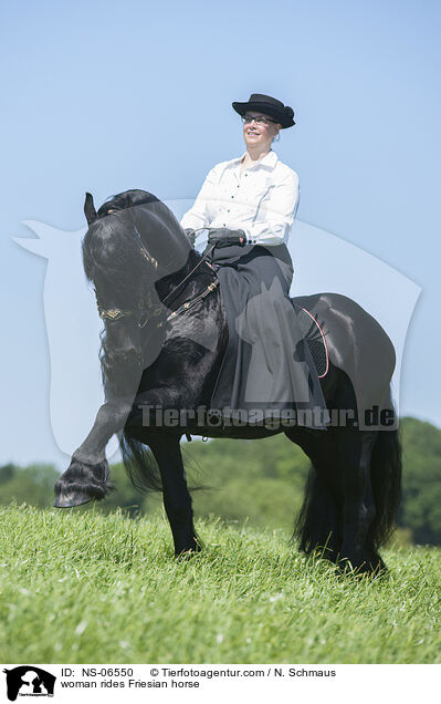 woman rides Friesian horse / NS-06550