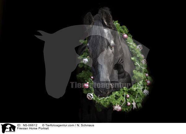Friesian Horse Portrait / NS-06612