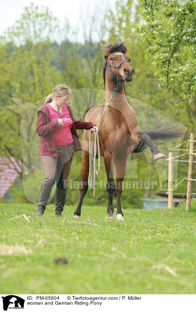 woman and German Riding Pony / PM-05604