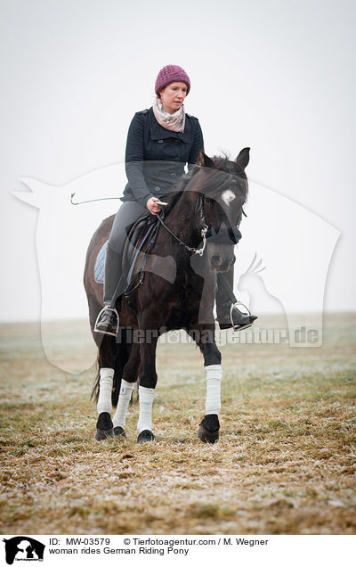 woman rides German Riding Pony / MW-03579