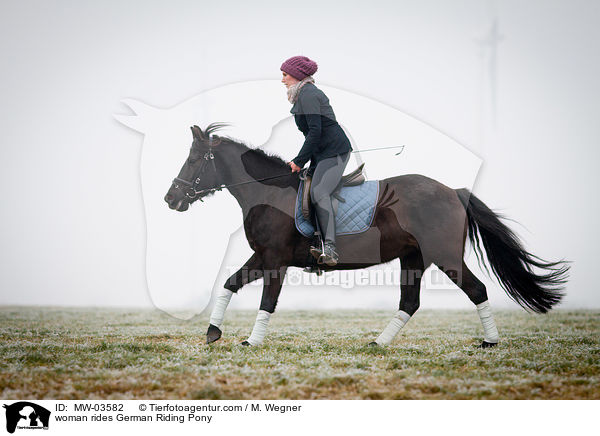 Frau reitet Deutsches Reitpony / woman rides German Riding Pony / MW-03582
