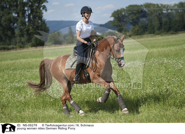 young woman rides German Riding Pony / NS-06276
