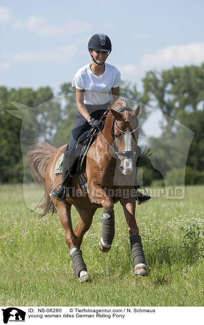 junge Frau reitet Deutsches Reitpony / young woman rides German Riding Pony / NS-06280