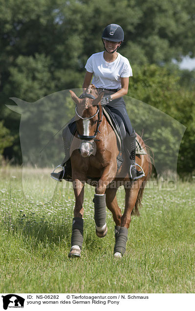 young woman rides German Riding Pony / NS-06282