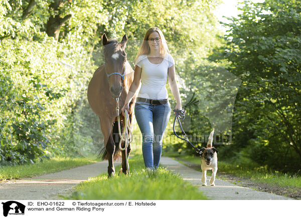 Frau und Deutsches Reitpony / woman and German Riding Pony / EHO-01622