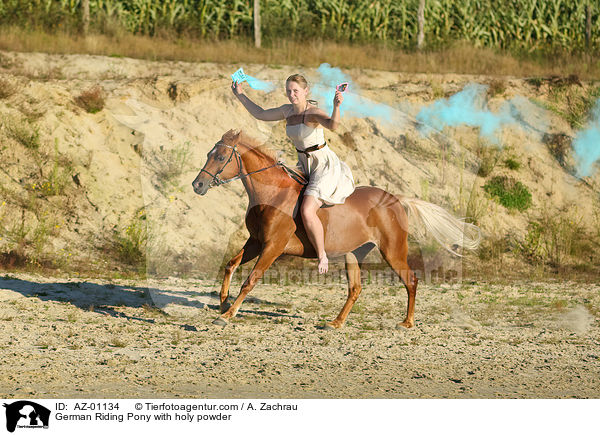 German Riding Pony with holy powder / AZ-01134