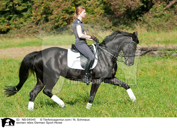 Frau reitet Deutsches Sportpferd / woman rides German Sport Horse / NS-04045