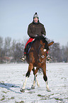 woman rides warmblood