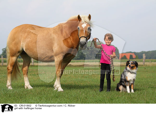 girl with haflinger horse / CR-01862