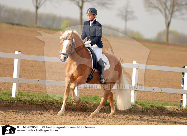 Frau reitet Haflinger / woman rides Haflinger horse / NS-02850