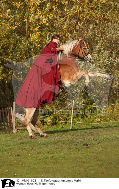 woman rides Haflinger horse / VM-01602