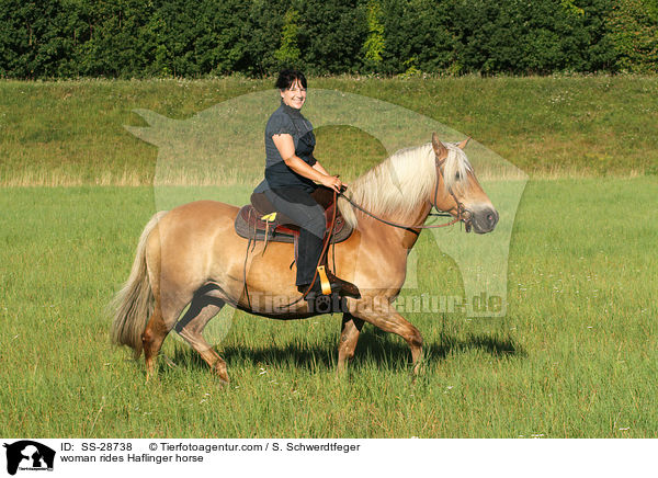 woman rides Haflinger horse / SS-28738