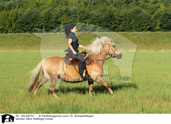 woman rides Haflinger horse / SS-28741