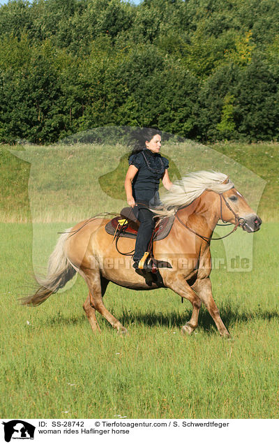 woman rides Haflinger horse / SS-28742