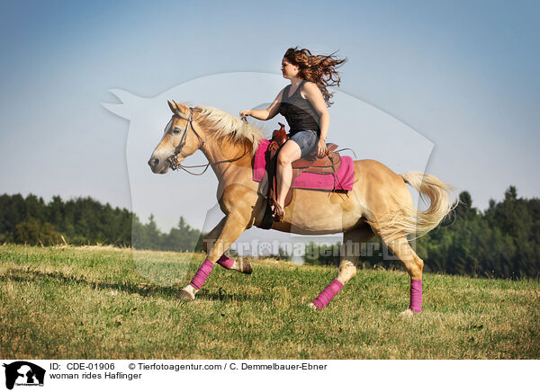 Frau reitet Haflinger / woman rides Haflinger / CDE-01906
