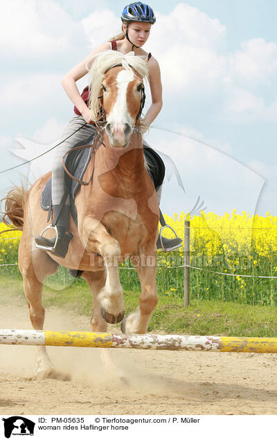 woman rides Haflinger horse / PM-05635