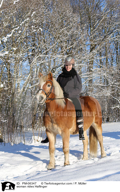 woman rides Haflinger / PM-06347