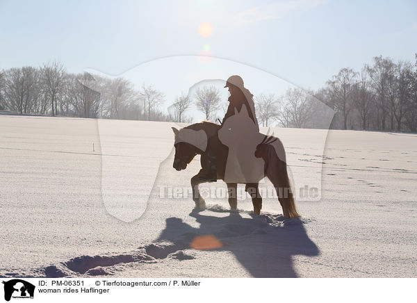 woman rides Haflinger / PM-06351
