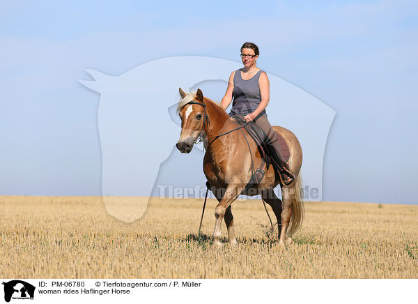 Frau reitet Haflinger / woman rides Haflinger Horse / PM-06780