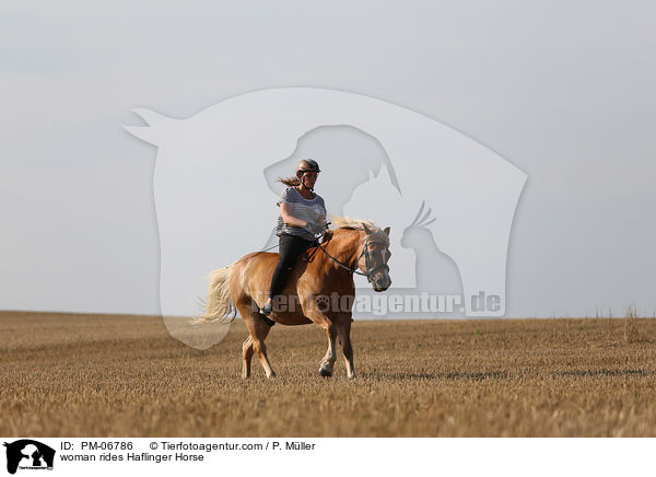 Frau reitet Haflinger / woman rides Haflinger Horse / PM-06786