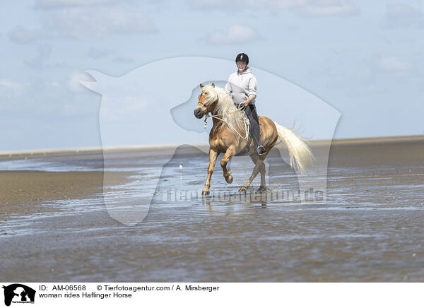 Frau reitet Haflinger / woman rides Haflinger Horse / AM-06568