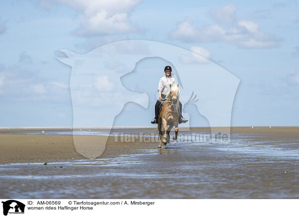 woman rides Haflinger Horse / AM-06569