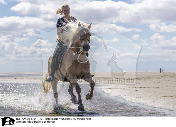 Frau reitet Haflinger / woman rides Haflinger Horse / AM-06570