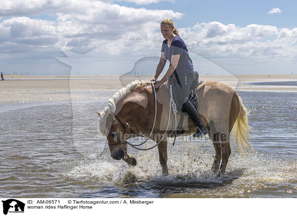 woman rides Haflinger Horse / AM-06571