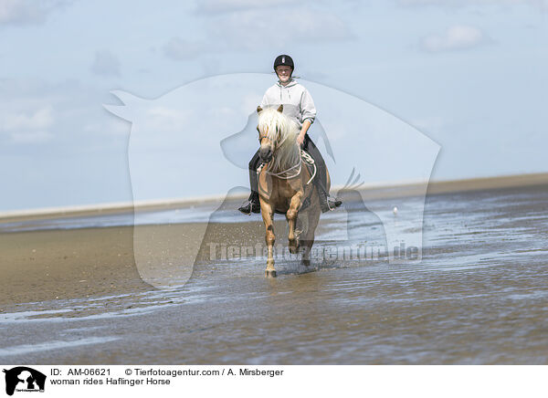 woman rides Haflinger Horse / AM-06621