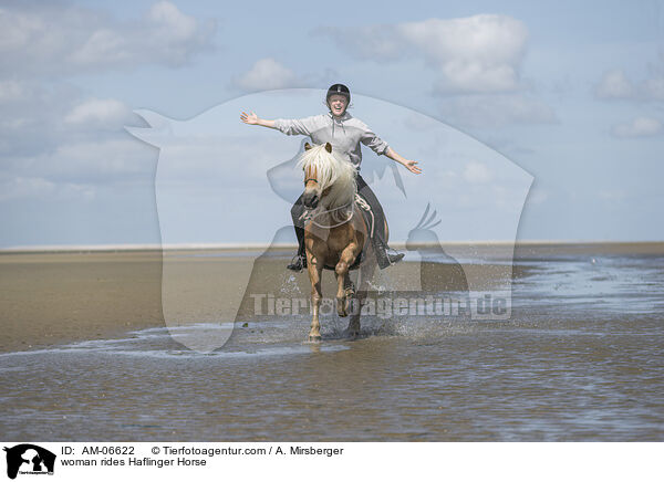 woman rides Haflinger Horse / AM-06622