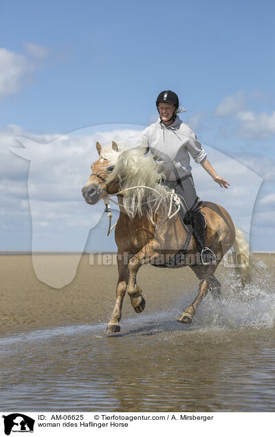 woman rides Haflinger Horse / AM-06625