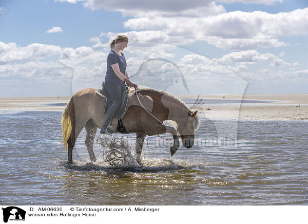 woman rides Haflinger Horse / AM-06630