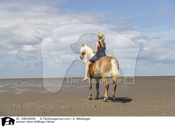 woman rides Haflinger Horse / AM-06668