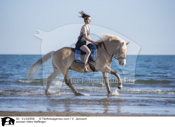 woman rides Haflinger / VJ-02958