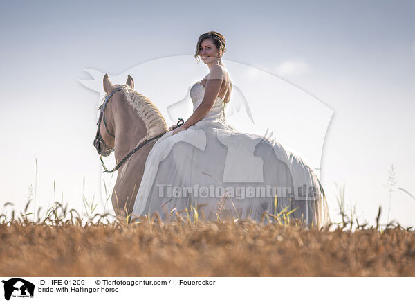 Braut mit Haflinger / bride with Haflinger horse / IFE-01209