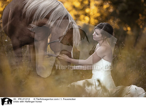 Braut mit Haflinger / bride with Haflinger horse / IFE-01214