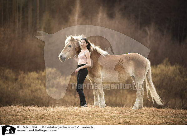 woman and Haflinger horse / VJ-03764
