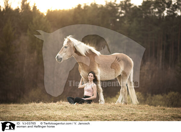 woman and Haflinger horse / VJ-03765